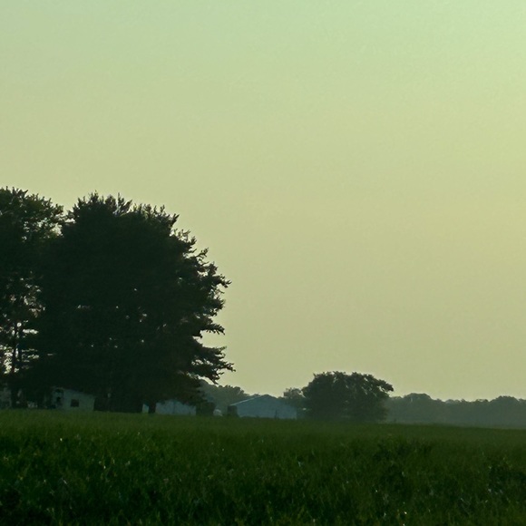 Meet your Posher, Erica - Picture 1 of 15